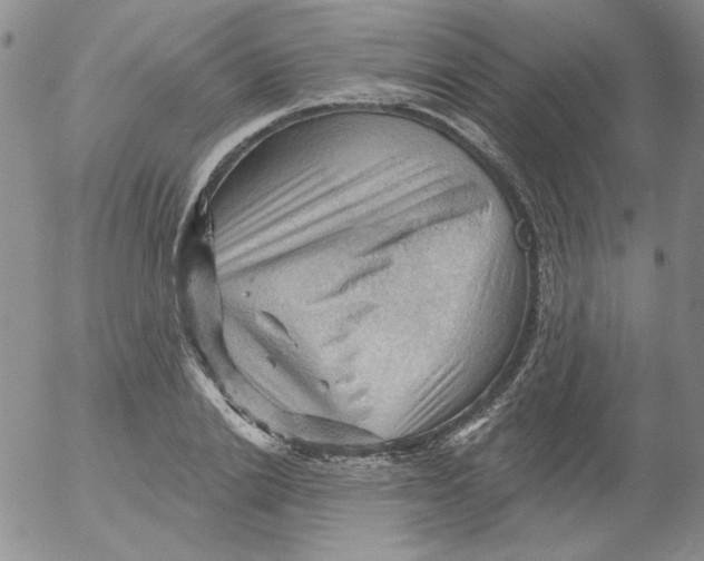 X0000053080838200508012004