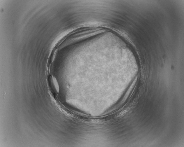 X0000053080839200508012004