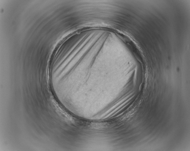 X0000053080840200508012004