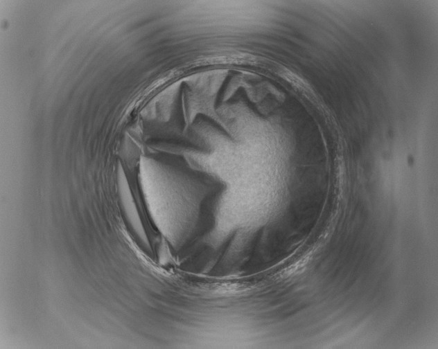 X0000053080841200508012004