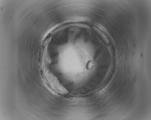 X0000053080842200508012004