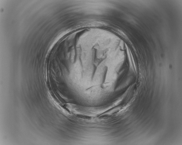 X0000053080843200508012004