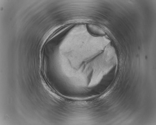 X0000053080844200508012004