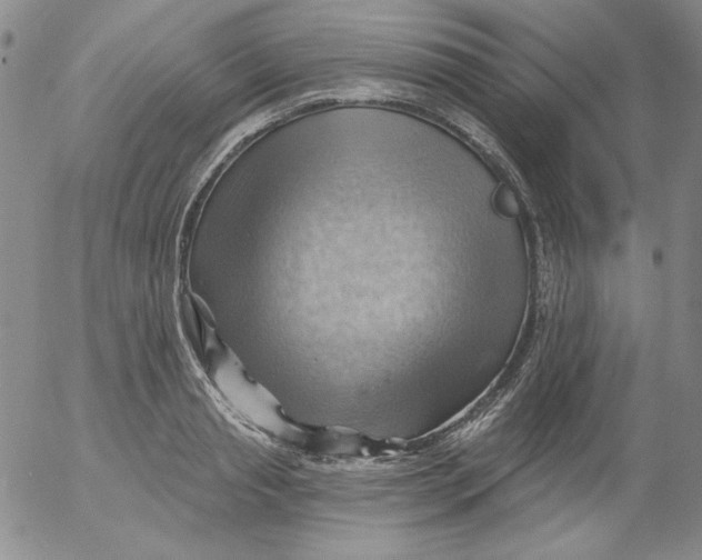 X0000053080845200508012004