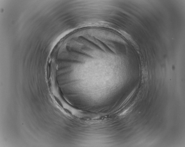 X0000053080846200508012004