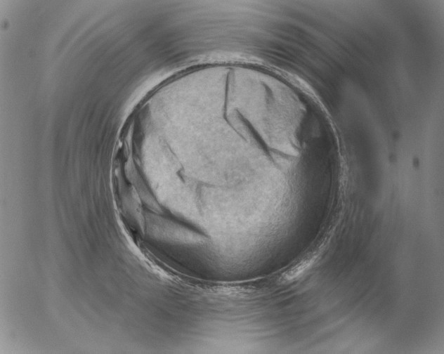 X0000053080847200508012004