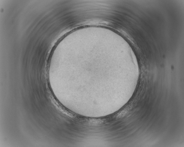 X0000053080848200508012004