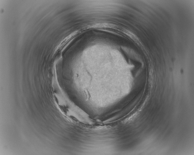 X0000053080849200508012004