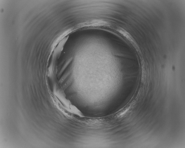 X0000053080850200508012004