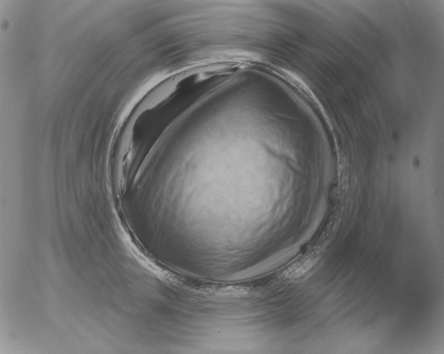 X0000053080851200508012004