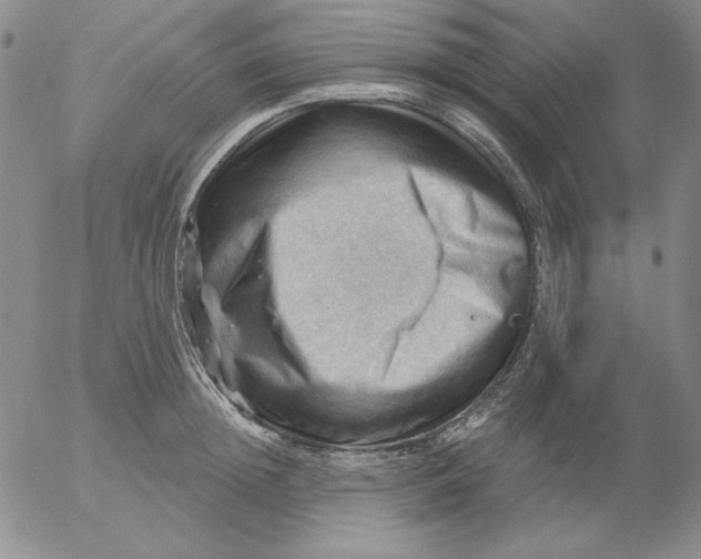 X0000053080852200508012004