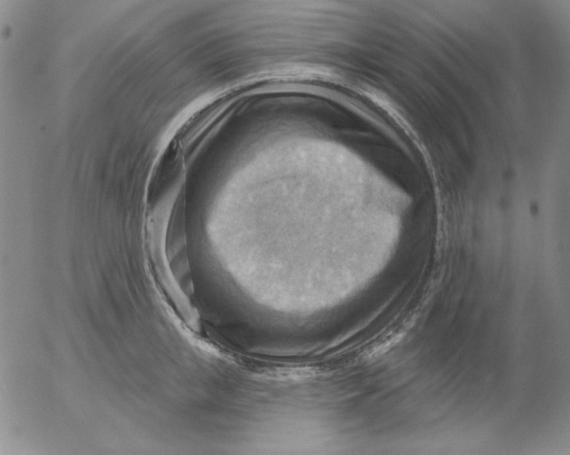 X0000053080853200508012004