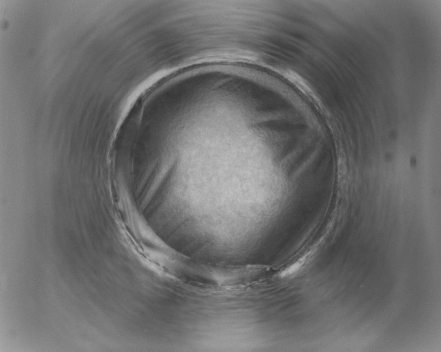 X0000053080854200508012004