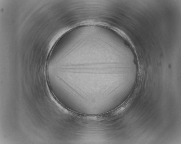 X0000053080855200508012004