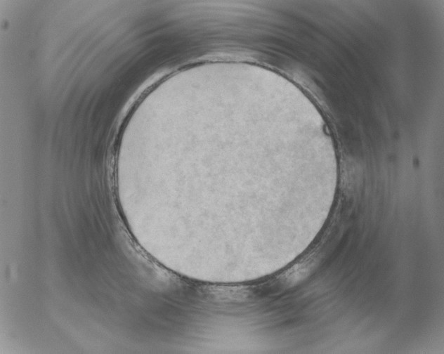 X0000053080856200508012004