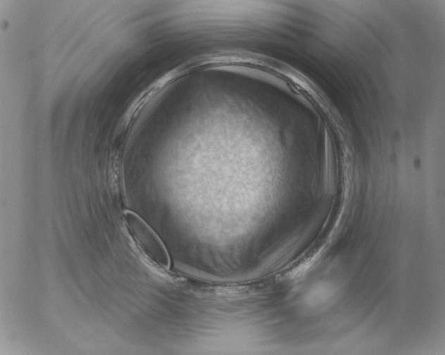 X0000053080857200508012004