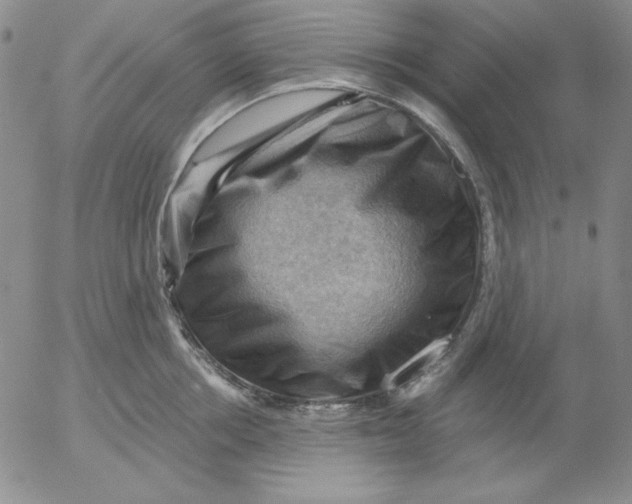 X0000053080858200508012004