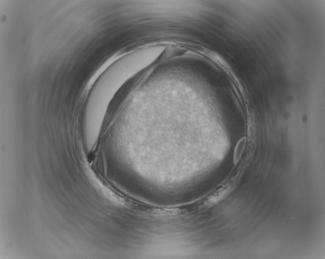 X0000053080859200508012004