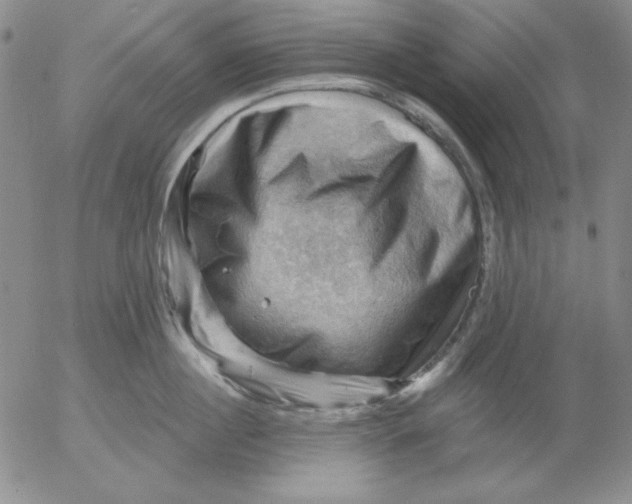 X0000053080860200508012004