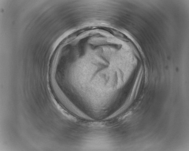 X0000053080861200508012004