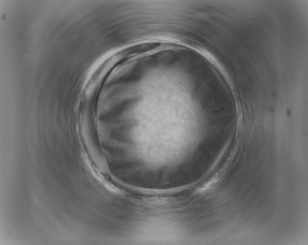 X0000053080862200508012004