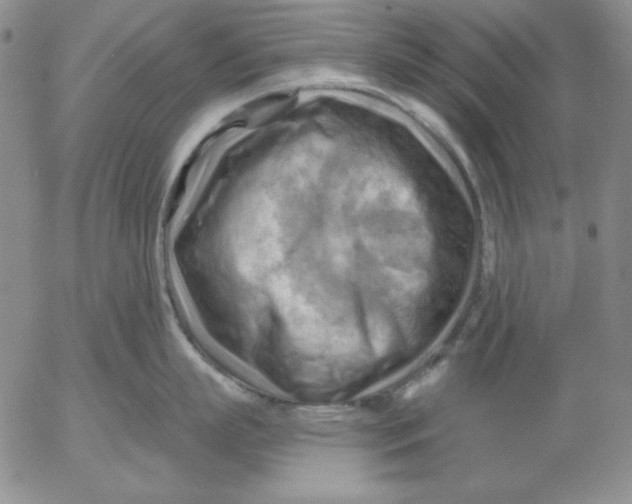 X0000053080863200508012004