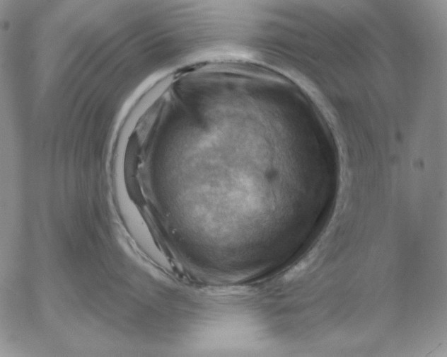 X0000053080864200508012004