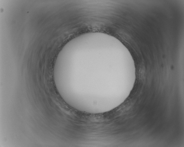 X0000053080865200508012003