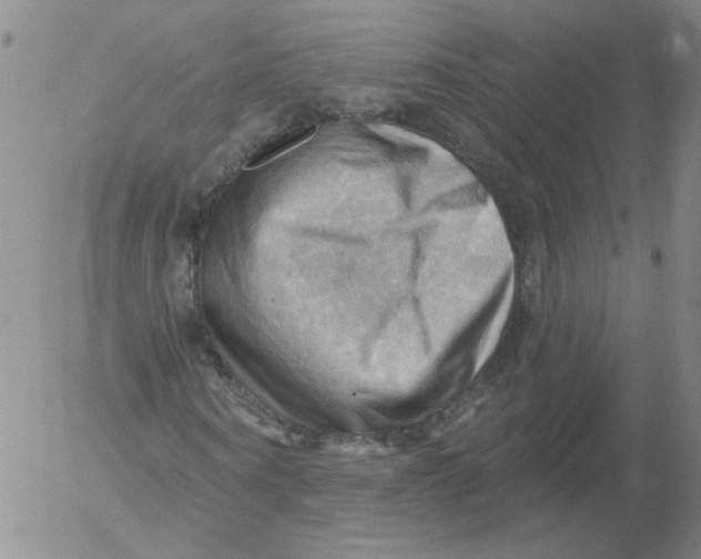 X0000053080866200508012003