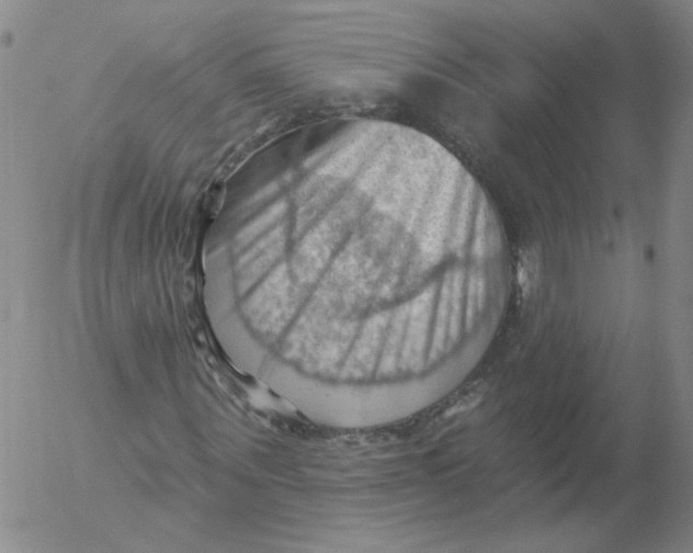 X0000053080867200508012003