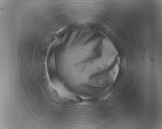 X0000053080868200508012003