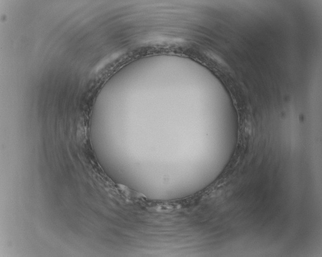 X0000053080869200508012003