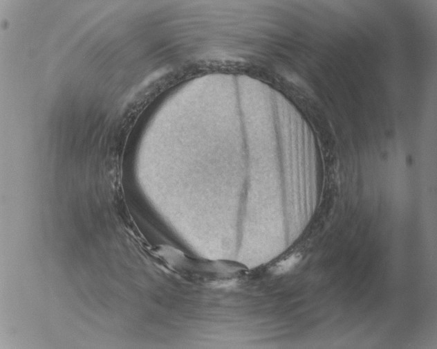 X0000053080870200508012003