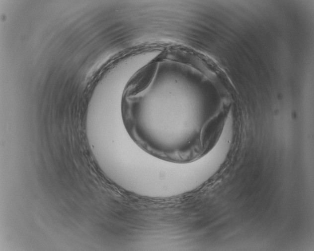 X0000053080871200508012003