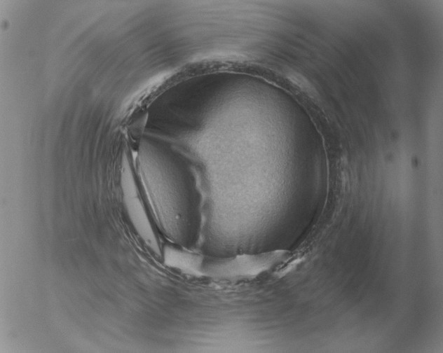 X0000053080872200508012003