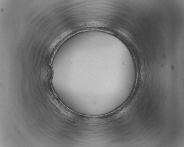 X0000053080873200508012003