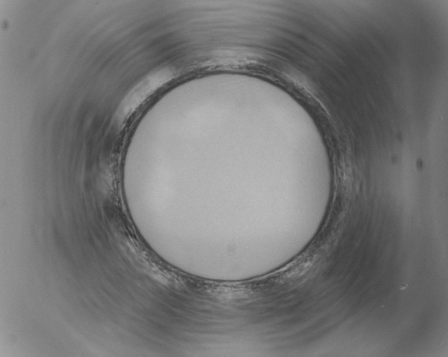 X0000053080874200508012003