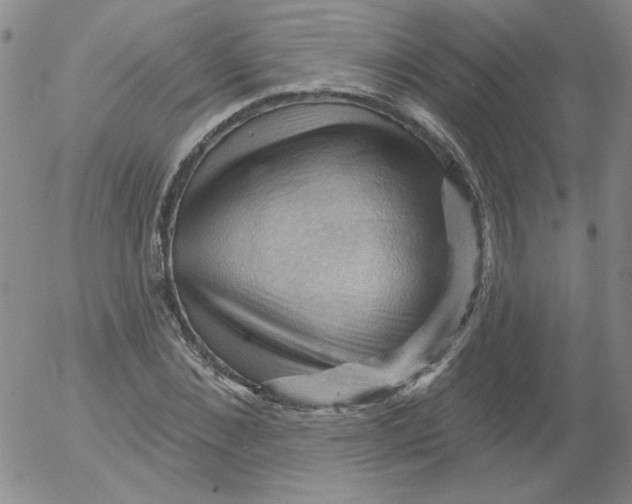 X0000053080876200508012003