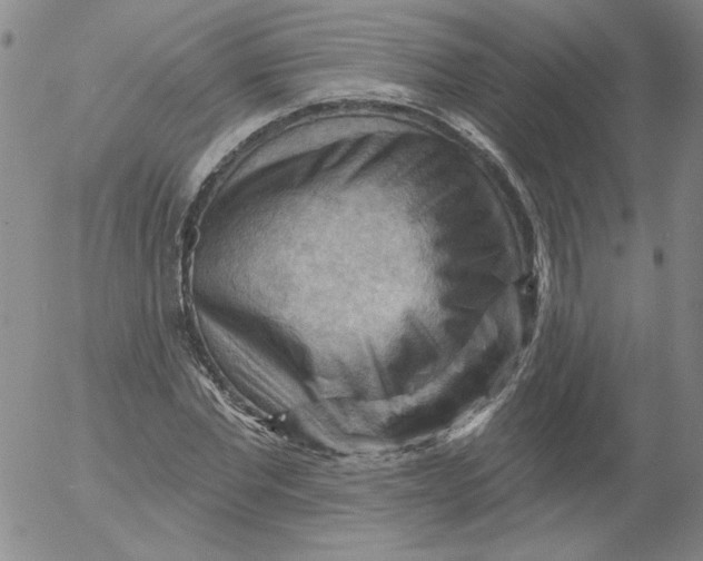 X0000053080877200508012003