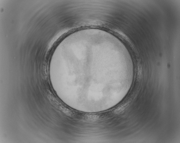 X0000053080878200508012003