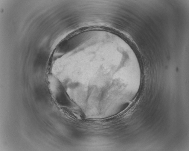 X0000053080879200508012003