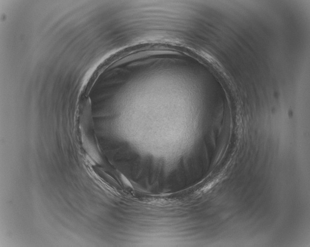 X0000053080880200508012003