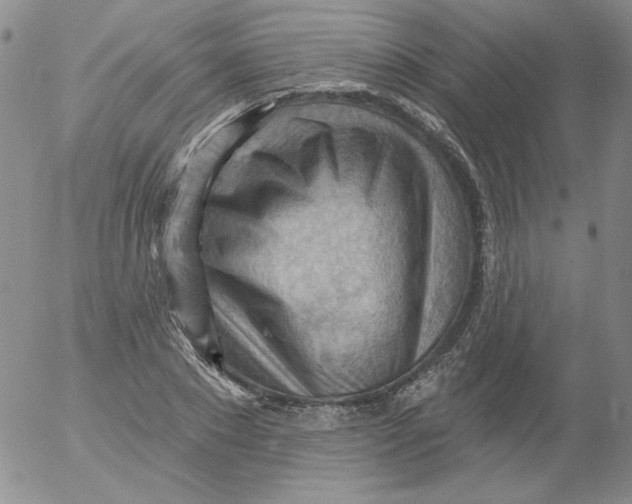 X0000053080881200508012003