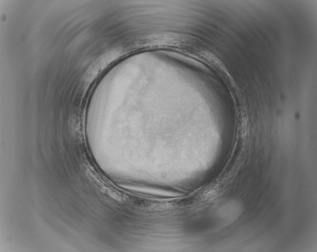 X0000053080882200508012003