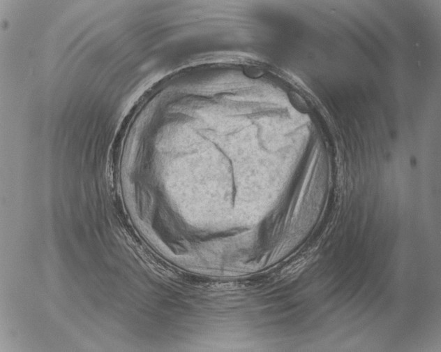 X0000053080883200508012003