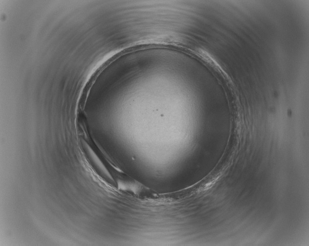 X0000053080884200508012003