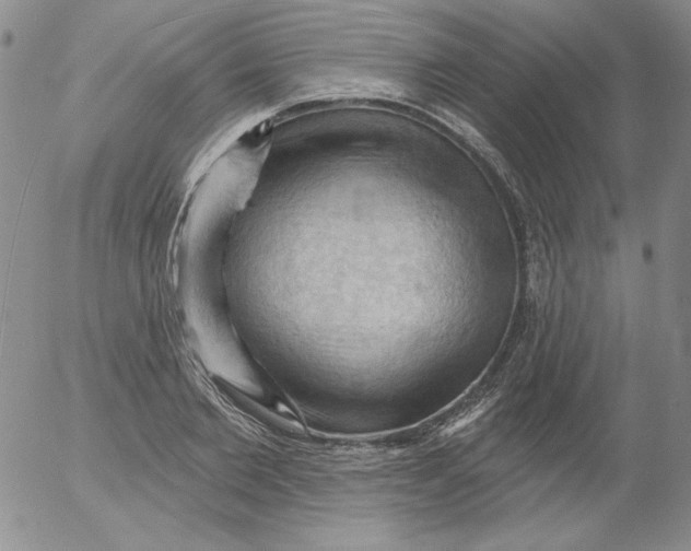 X0000053080885200508012003