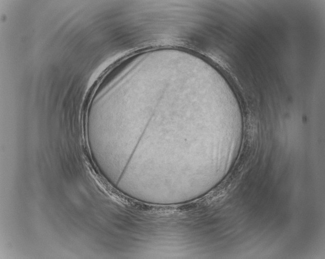 X0000053080886200508012003