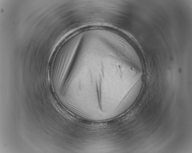 X0000053080887200508012003