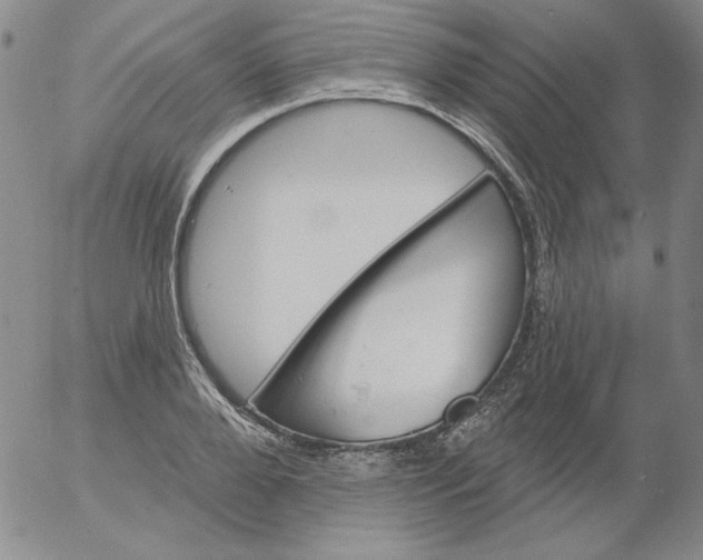 X0000053080888200508012003